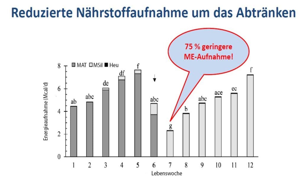 Abbildung 2: Abruptes Abtränken verursacht ein wochenlanges negatives Energiedefizit (Niekerk et al., 2020)