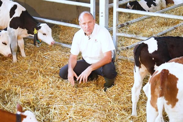 Dr Peter Zieger kniet im Stroh mit Kaelbern